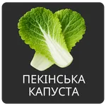 ПЕКІНСКА КАПУСТА